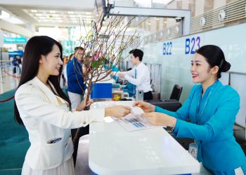 [VNA How] Thật dễ dàng để vận chuyển cành đào, cành mai cùng Vietnam Airlines dịp Tết này