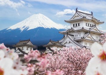 Chuyến du lịch dành cho “Cánh Sen Vàng rực rỡ” trị giá 80 triệu đồng