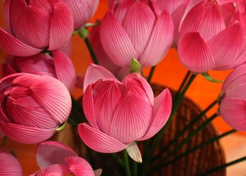 [Heritage] Làng nghề thủ công – Chất liệu “vàng” trong phim An toàn bay