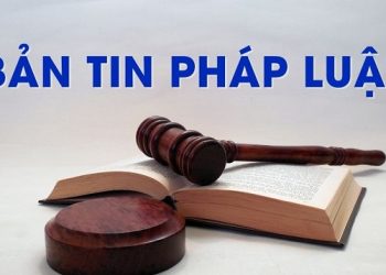 Bản tin pháp luật tháng 3/2025 (Phần 2)