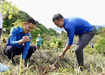 Tiếp nối hành trình tái sinh rừng: “Vì một Việt Nam xanh và phát triển bền vững”