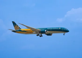Nguyên nhân Vietnam Airlines sơn hình chim Lạc lên “Giấc mơ bay” Dreamliner