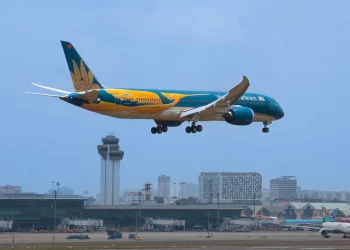 Chim lạc – biểu tượng văn hóa trên đôi cánh Vietnam Airlines