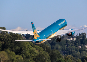 Biểu tượng chim Lạc: Cội nguồn dân tộc và khát vọng vươn mình