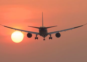 [Cất cánh tự hào Việt Nam] Đàn chim về tổ – NAG Lưu Đình Nguyên