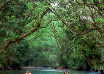 Nơi rừng xanh gọi mời