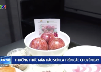 [VTV] Thưởng thức mận hậu Sơn La trên các chuyến bay