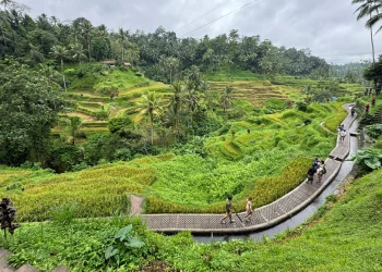 Bay thẳng từ Việt Nam đến Bali: Mở lối khám phá thiên đường du lịch Indonesia