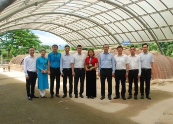 Lãnh đạo Vietnam Airlines dâng hương tưởng niệm các anh hùng liệt sĩ tại Điện Biên