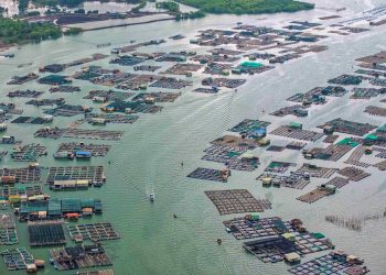 Cửa ngõ vươn mình ra biển lớn