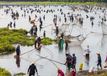 Về Trà Lộc phá trằm