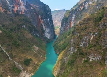 Trái tim xanh giữa miền đá tai mèo