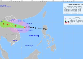Vietnam Airlines khẩn trương triển khai ứng phó với bão số 5 (KAJIKI)