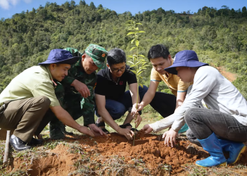 Hành trình góp lá – Chung tay giữ rừng
