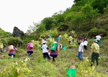 Tiếp tục hành trình “Góp lá vá rừng – Vì một Việt Nam xanh và phát triển bền vững”