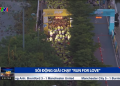 [VTV] Sôi động giải chạy “Run for Love”