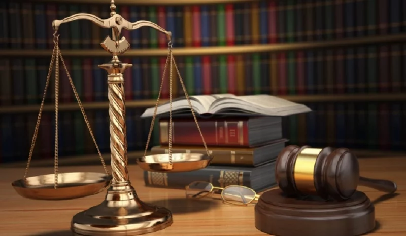 thuc-hien-phap-luat-co-4-hinh-thuc-khac-nhau_2804084809