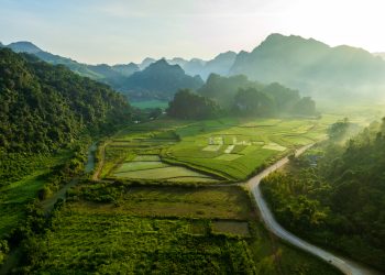 Thảo nguyên yên bình giữa xứ Lạng