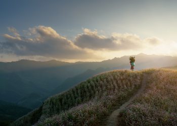 Tấm áo ngày đông của cao nguyên đá