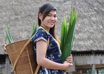 Những chiếc bánh thơm từ đại ngàn