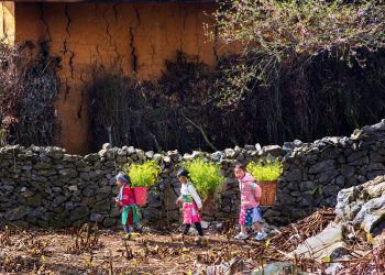 Du lịch nông thôn đổi đời nông dân