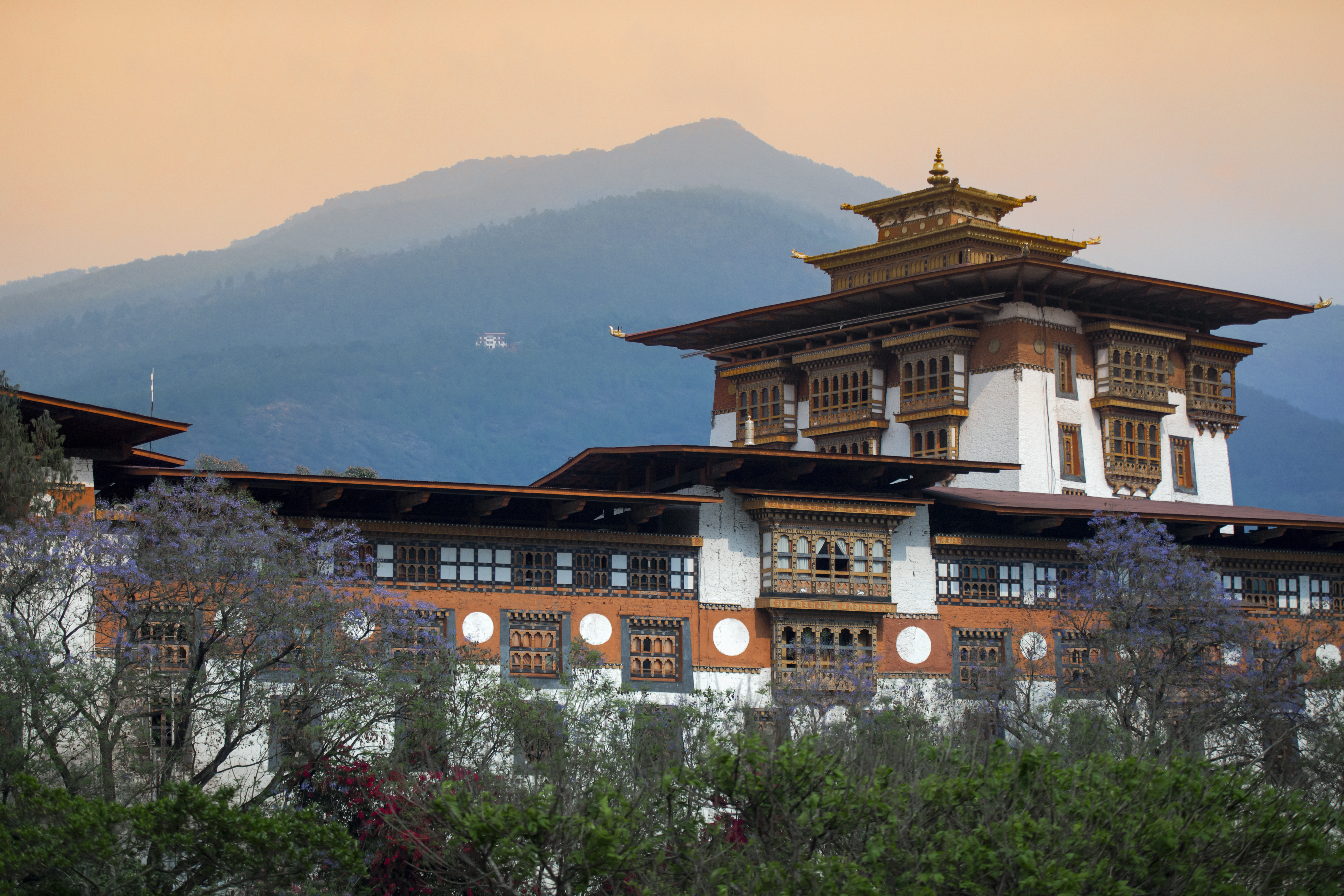 Punakha Dzong (2)