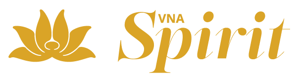 Spirit Vietnam Airlines