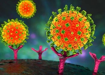 Vietnam Airlines chủ động siết chặt phòng chống dịch virus Nipah