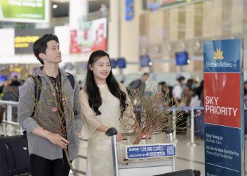 Vietnam Airlines vận chuyển mai đào Tết Nguyên Đán Bính Ngọ 2026