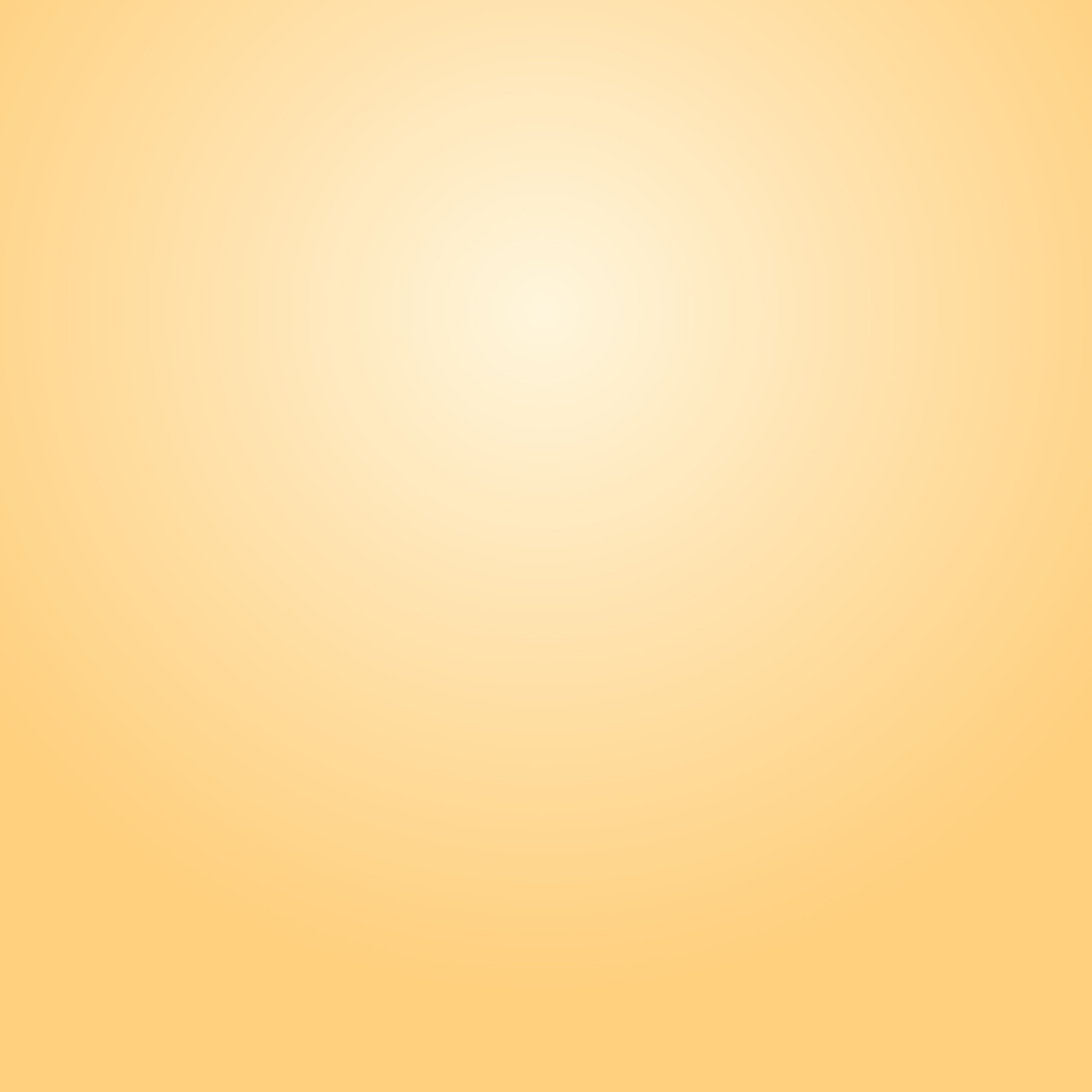 Vietnam Airlines Spirit