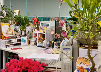 Em chào Tết: Không khí xuân tràn ngập tại Ban Tiếp thị và Bán sản phẩm