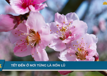 [VNA Special] Tết đến ở nơi từng là rốn lũ