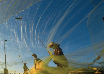 Tinh hoa vị biển Việt: Khi truyền thống được viết lại cho thế hệ mới