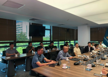 Chim va vào tàu bay: Bài toán khó của hàng không Việt Nam