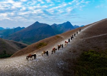 Huyền thoại miền sơn cước