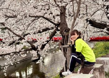 Nagoya: Hành trình 4 ngày 3 đêm khám phá thủ phủ tỉnh Aichi mùa hoa anh đào