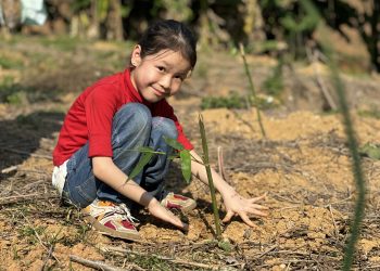 Mỗi mầm xanh nảy nở từ một dặm bay