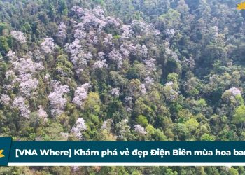 [VNA Where] Khám phá vẻ đẹp Điện Biên mùa hoa ban