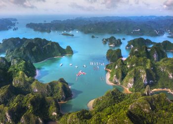 Hạ Long và những nhịp biển
