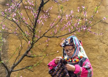 Nơi đá nở hoa và văn hóa lên tiếng