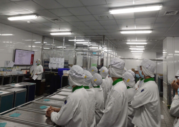 [Cuộc thi VHDN] Người giữ nhịp sau mỗi chuyến bay – Trần Huyền Trang – NCS
