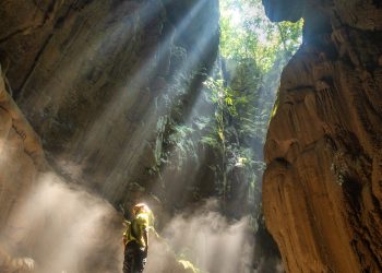 Khúc tình ca của đại ngàn và sóng biển