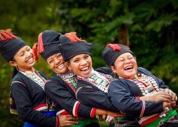 Những cánh hải âu trên miền di sản