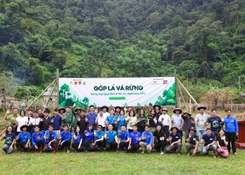 Thêm 72 ha rừng được hồi sinh từ chương trình “Góp Lá Vá Rừng”