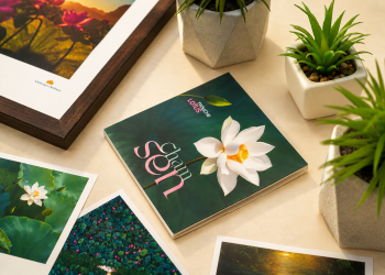 Khi mỗi cánh “Chạm Sen” hóa thành nhịp đập yêu thương