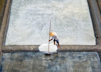 Nơi gió biển thổi qua đồng muối trắng