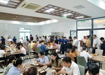 [Hôm nay ăn gì] Gà quay sốt nấm hay thịt hấp sả, bạn thuộc đội nào?