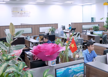 [VNA What] Hướng dẫn sử dụng tính năng “Tiếng nói khách hàng nội bộ” trên ứng dụng VNA Discovery