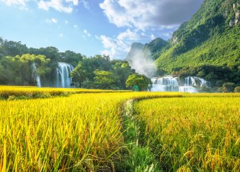 Bản Giốc mùa vui