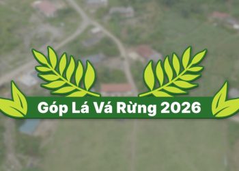 Góp Lá Vá Rừng 2026: Nhìn lại hành trình phủ xanh thêm 72 ha rừng